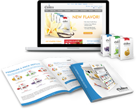 Web Designing